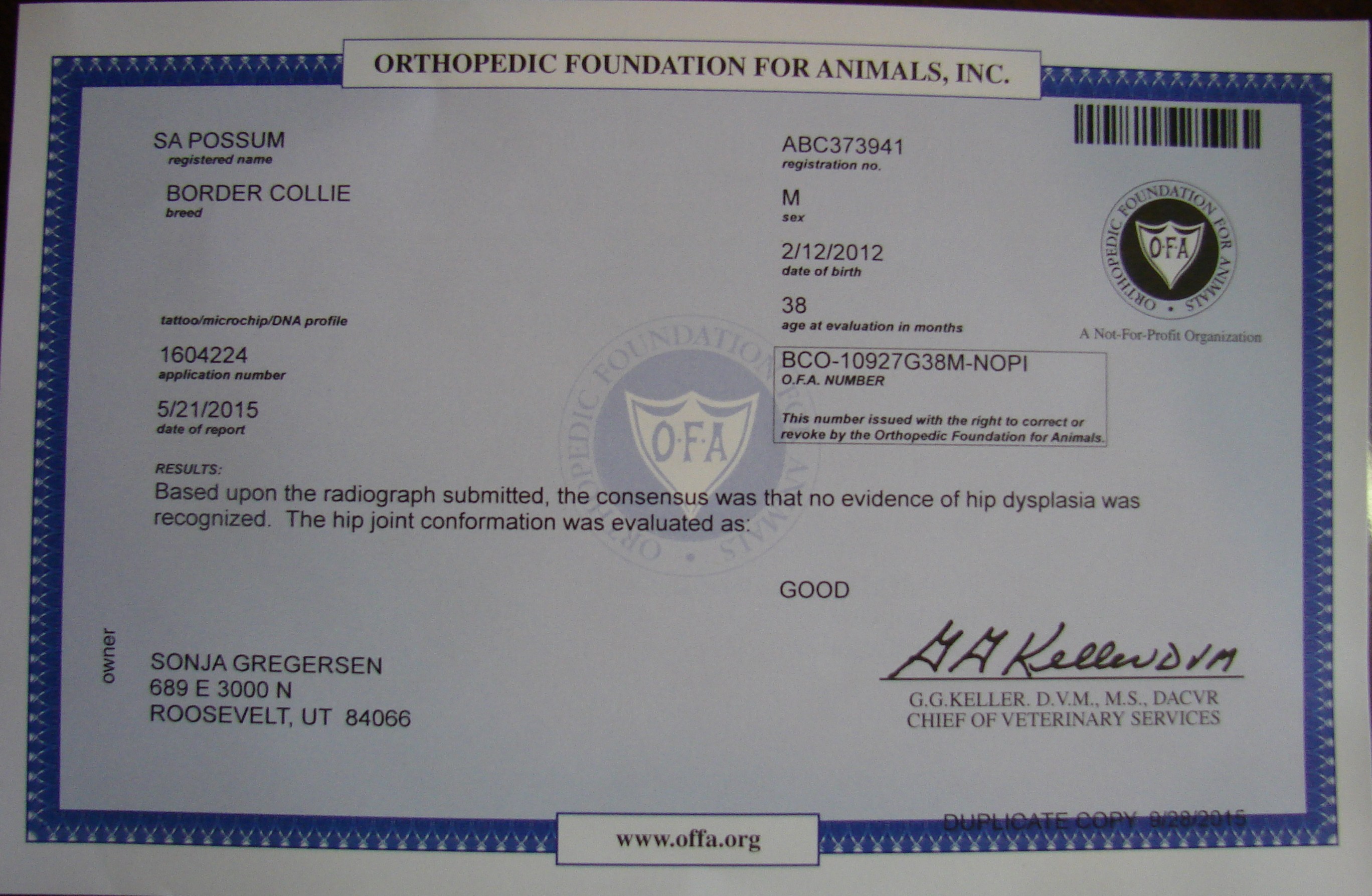 SA Possum OFA Certificate